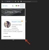 scrollbar.png